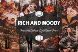 Free Download:10 Rich and Moody Lightroom Presets 5916286
