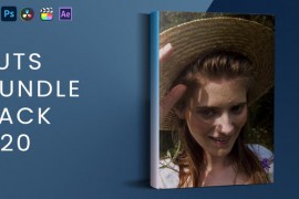 LUTs Bundle Pack V20 44190725