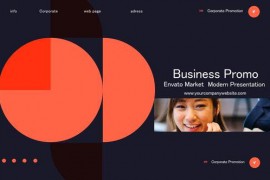 Business Promo V 0.2 44377665