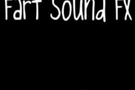HQ Sound FX Fart Sound FX FLAC