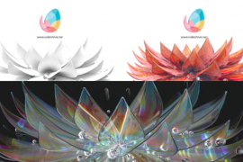 Flower bloom 3 Style logo reveal 44230641