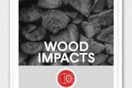 Big Room Sound Wood Impacts WAV-FANTASTiC
