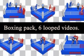 Boxing Loops Pack 51885914