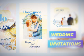 Instagram Stories Wedding Invitations 45548494