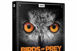 Boom Library Birds of Prey WAV-AUDIOSTRiKE
