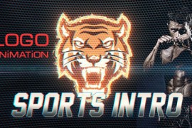 Action Opener - Sports Intro Logo 19659356