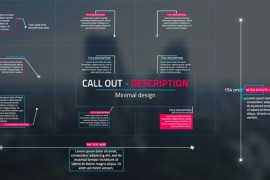 Description Call - Outs 40125667