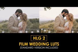 HLG2 Film Wedding and Standard Color LUTs 48915070