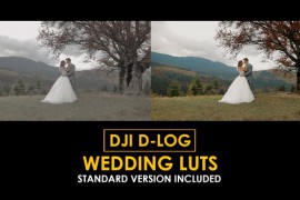 DJI D-Log Wedding LUTs 50813006