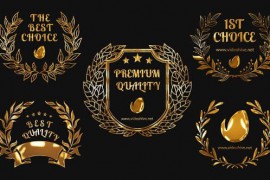 5 Golden Awards 52702161