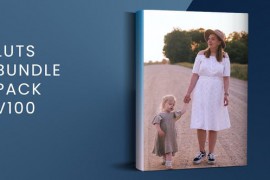 LUTs Bundle Pack V100 | FCPX 50195963