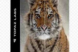 Topaz Photo AI 3.3.0 Win/Mac