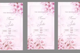 Wedding Instagram Stories MOGRT 42991279