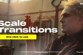 Scale Transitions 45730132