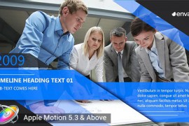 Corporate Timeline 20363621