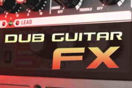 Future Loops Dub Guitars FX WAV-MAGNETRiXX