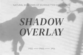 Creativemarket – Floral Dog Shadows Overlays