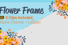 4K Beautiful Flower Frame Loop 44980270