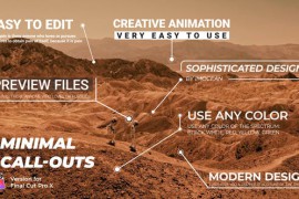 Minimal Call-Outs for FCPX 51549569