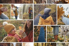 Mosaic Photo Collage Video Template 52212888