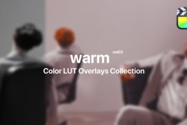 Warm Color Presets for Final Cut Pro Vol. 03 48369897