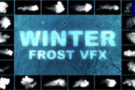 Winter Frost VFX for Premiere Pro 42594355