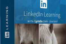 Linkedin – Photoshop 2025 Essential Training
