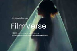 Colorist Foundry – Filmverse