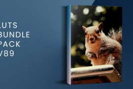 LUTs Bundle Pack V89 | FCPX 49857905