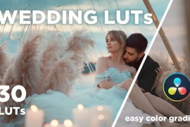 30 WEDDING LUTs 48474820