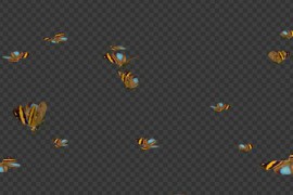 Butterfly Swarm - Callicore Aegina - Pack of 2 21411789
