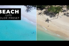 Beach LUTs 43383140