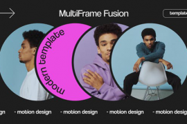 MultiFrame Fusion 49966532