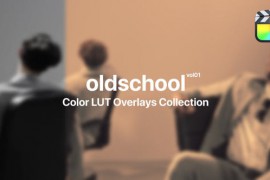 Old School Color Presets for Final Cut Pro Vol. 01 48261208