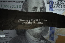 Money USD Titles/ Dollars USA/ Blockchain/ Banknotes and Bonds/ Business/ Economics/ Corporate/ $