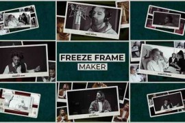 Freeze Frame V5 | MOGRT 57442033