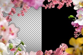 Lovingly Floral Frame And Transitions 26071388