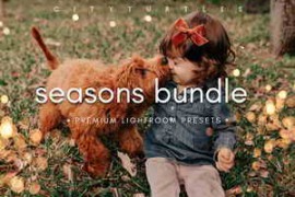 Free Download:Filtergrade – THE SEASONS BUNDLE – Premium Photography Lightroom Presets