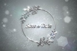 Wedding Silver Titles 45482088