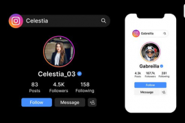 Instagram Search Bar, Profile, Result 52405270