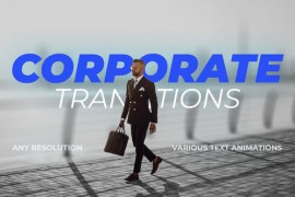 Corporate Transitions 51189943