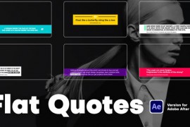 Flat Quotes 46463559