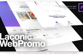 Laconic Website Promo 52216466