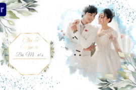 Ink Wedding Slideshow (MOGRT) 46251662