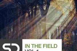 Sample Diggers In The Field Vol 1 WAV