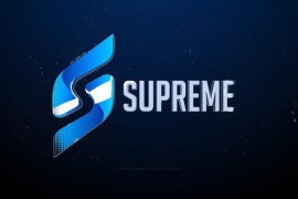 Logo Reveal 47250755