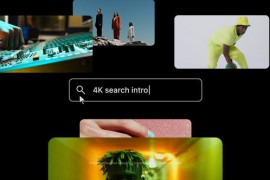 Search Bar Logo 52696070