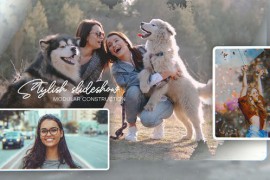Memories Photo Slideshow 43587782