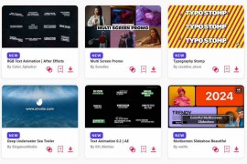 2024.1.31.16.Set.AE.Templates