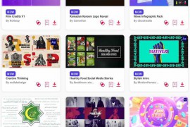 2024.2.27.43.Set.AE.Templates